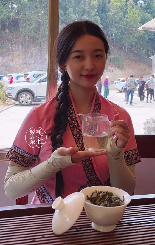 2024【单株-老班章头春】仅10棵 商品图8