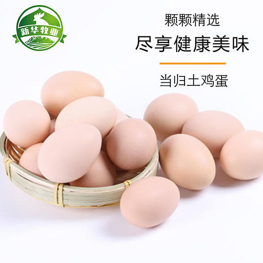 胭脂川当归鸡  让你的春天大“鸡”大利(年货特惠，统统8.8折) 商品图2