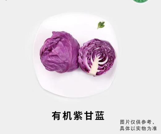 有机紫甘蓝（富含花青素） 商品图0
