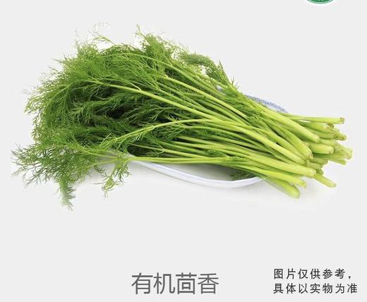 有机茴香（特供） 商品图0