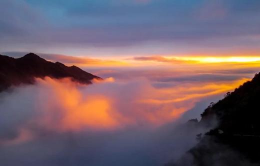 永州·阳明山星空、万亩杜鹃花海、日出云海2天<精品> 商品图3