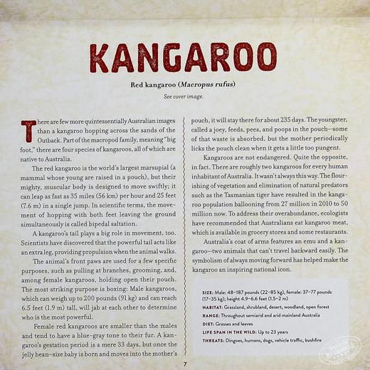 【中商原版】Outback 3D立体绘本陆地 The Amazing Animals of Australia 儿童STEAM与百科动物科普绘本 精装 英文原版 7-12岁 商品图6