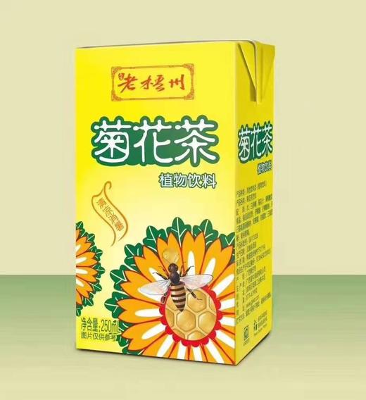 【老梧州饮品】绿豆爽、菊花茶、冬瓜茶，老品牌，24瓶*250ml，甘甜清爽解腻解渴，包邮广西 商品图2