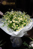 洋甘菊花束 商品缩略图1