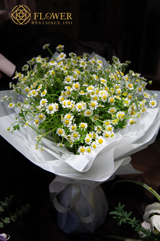 洋甘菊花束 商品图1