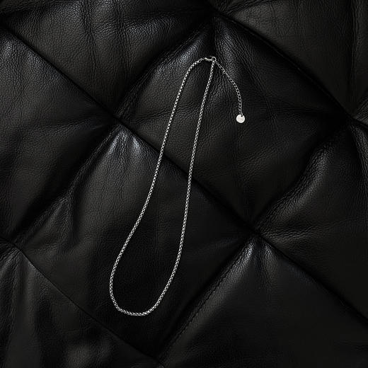 Unawares.SS20 圆弧钛钢细项链 商品图0