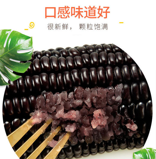 黑玉米 200g/根*20根 商品图2