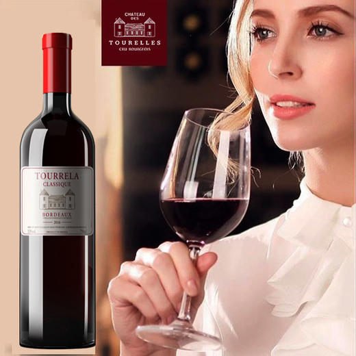 红酒 法国红酒丨波尔多原瓶进口 双塔骑士干红葡萄酒 波尔多AOC级 红酒750ml/瓶 酒精度13°C 商品图1