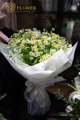 洋甘菊花束