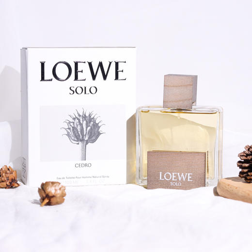 罗1威  唯一雪松  L0ewe Solo L0ewe Cedro   EDT 分装 商品图7