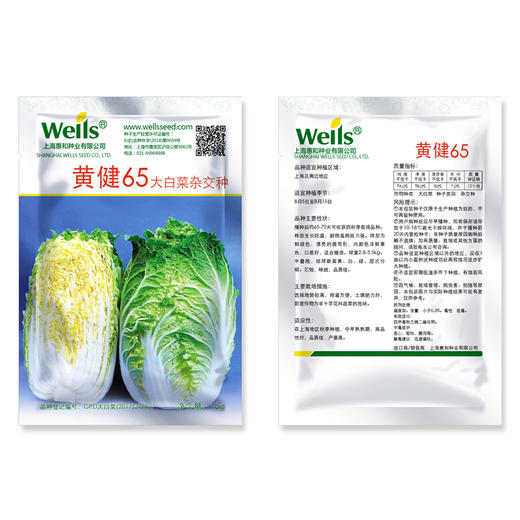 [专业种子] “黄健65”大白菜种子 商品图1