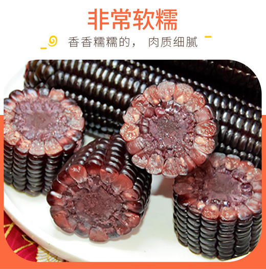黑玉米 200g/根*20根 商品图1