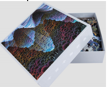 《十万个为什么》拼图