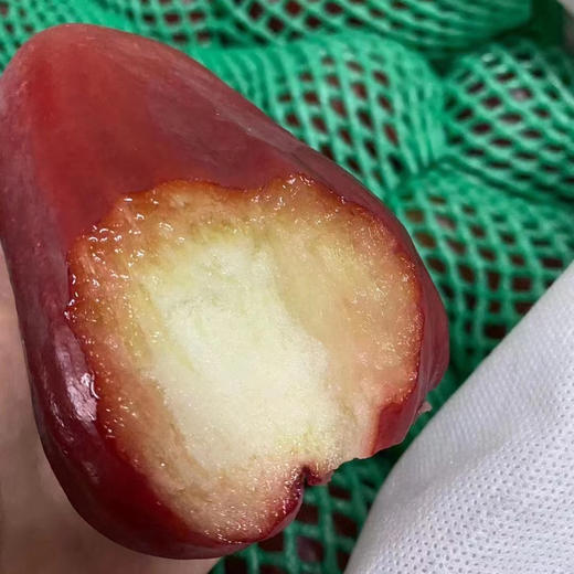 〔产地直发包邮04〕海南莲雾（黑金刚） 商品图1