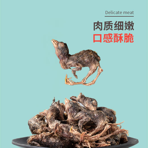 【立减5元】美人喵 猫零食冻干鹌鹑25g 磨牙洁齿补充营养 商品图2