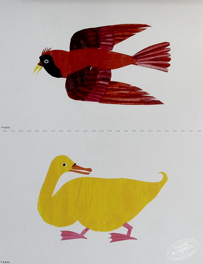 中商原版learningcardsbrownbear艾瑞卡尔学习卡棕熊ericcarle低幼