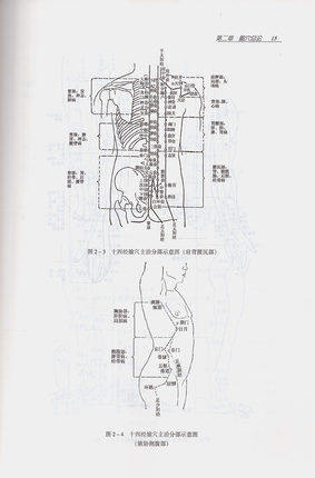 【出版社直销】针灸推拿学 邵湘宁 著 全国中等中医药教育规划教材 (供中医药类专业用) 中国中医药出版社 书籍 商品图5