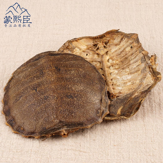 仙蒙道地堂 血鳖甲 鳖甲 带裙边 （非酒店回收）250克 500克 1000克 商品图2