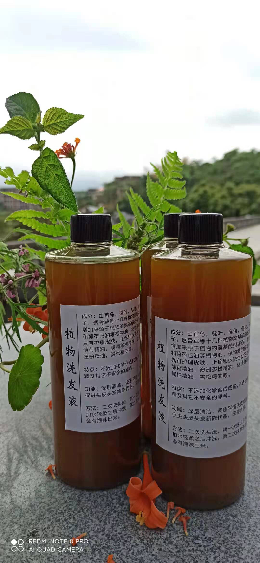 植物洗发水（220克/440克包邮）/头皮精油（谨慎下单，下单不接受 退款）