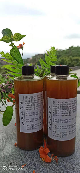 植物洗发水（220克/440克包邮）/头皮精油（谨慎下单，下单不接受 退款）