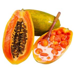 海南牛奶木瓜15元2个