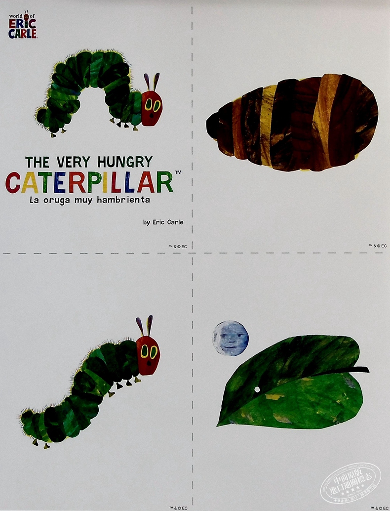 cards the very hungry caterpillar 艾瑞卡尔学习卡毛毛虫 eric
