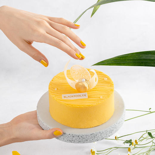 南山暂缺货，不可购【燕窝椰芒慕斯】春夏限量 融合芒果/椰子口味 商品图3