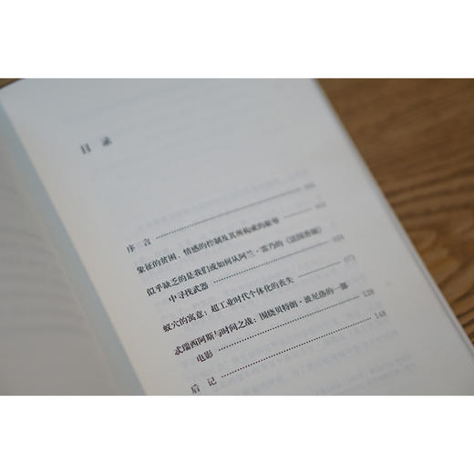 象征的贫困1：超工业时代 商品图6