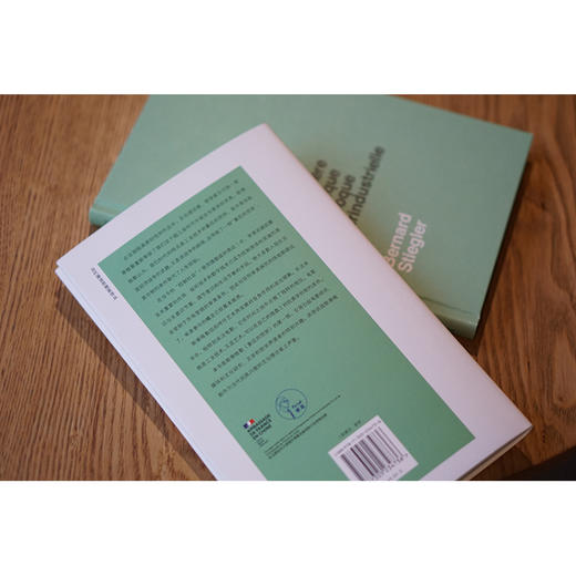 象征的贫困1：超工业时代 商品图4