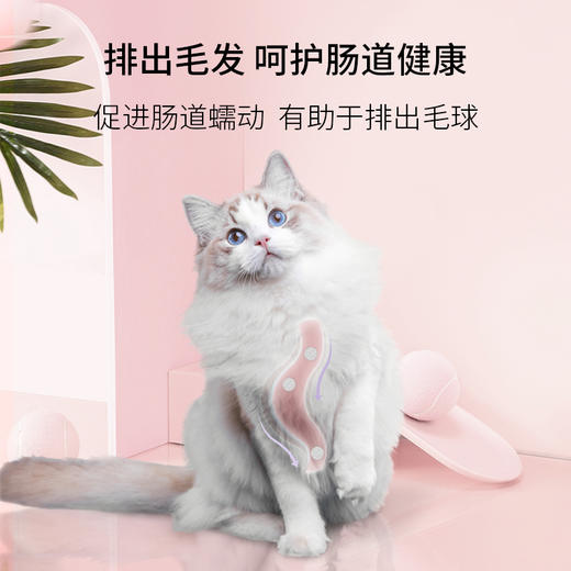 【特惠价】美人喵 全价成年期蛋黄酥盛宴猫粮 深海鱼味 1.5kg 商品图1