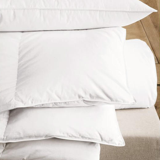 四季薄款夏被 被芯加厚羽绒被 100% 白鹅精绒  夏凉被 商品图2