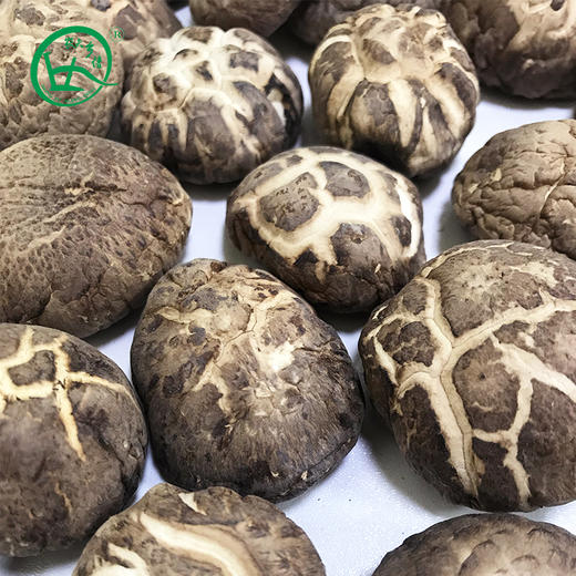 宜昌 农夫乡情香菇500g/袋 商品图2