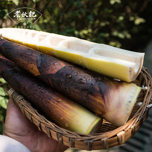 4月21日12点截单下单有机雷竹鲜笋5斤装老伙记宽叶红壳雷竹春笋青城