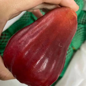 〔产地直发包邮04〕海南莲雾（黑金刚）