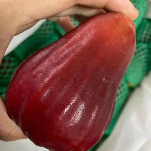 〔产地直发包邮04〕海南莲雾（黑金刚） 商品图0