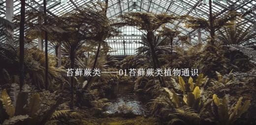 2.1苔藓蕨类植物通识 商品图0