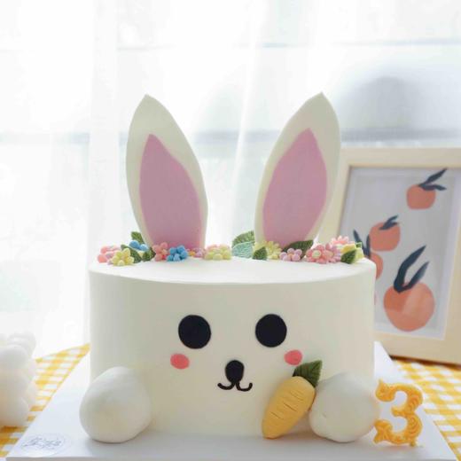 软萌小白兔 (备注年龄) 商品图0