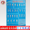 强直性脊柱炎康复操（挂图）首都医科大学附属北京中医医院风湿病科（规格宽88cm*高123cm）中国中医药出版社 商品缩略图0
