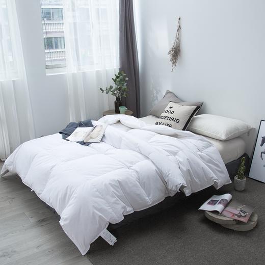 四季薄款夏被 被芯加厚羽绒被 100% 白鹅精绒  夏凉被 商品图4