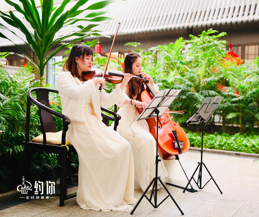 乐器表演 商品图1