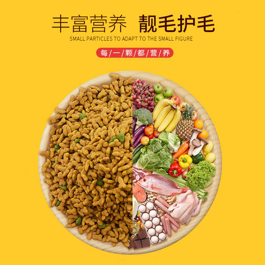 美人喵挑嘴型靓毛鲑鱼猫粮1.5kg 商品图4