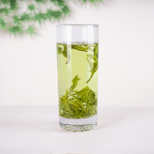 【武汉.新洲】江城百臻武汉大雾山刀楼寨绿茶250g礼盒装(62.5g*4罐）茶叶 商品图1