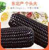 黑玉米 200g/根*20根 商品缩略图0