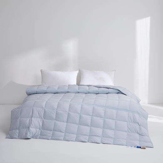 四季薄款夏被 被芯加厚羽绒被 100% 白鹅精绒  夏凉被 商品图6