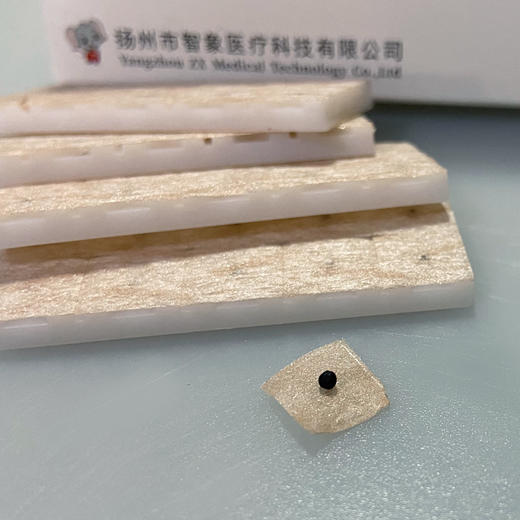 智象牌穴位压力刺激贴 王不留行籽贴 100粒 商品图1