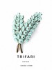 TRIFARI 商品缩略图0