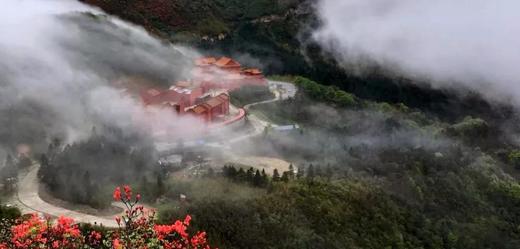 永州·阳明山星空、万亩杜鹃花海、日出云海2天<精品> 商品图8