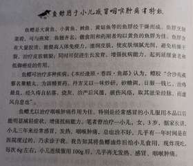 班长课堂096 | 鱼鳔真的有用吗？