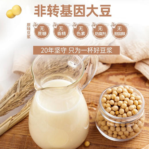 (散)龙王豆浆粉原味，甜味（散） 商品图2