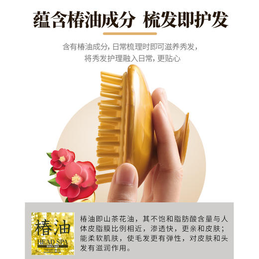 池本椿油洗发梳 日本进口按摩头皮舒适9*6.5cm美发化妆梳  WHJC 商品图1